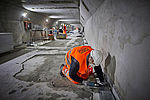 morepic-1