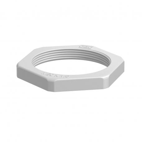 Controdado, filettatura metrica, grigio chiaro M50_x_1,5 | 60