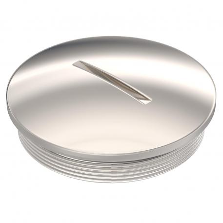 Tappo filettato, filettatura metrica M50 x 1,5