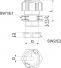morepic-5