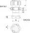 morepic-5